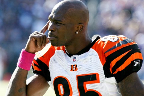 Bengals' Ochocinco gestures to a teammate from the sidelines during the Bengals' game against the Ravens in Baltimore