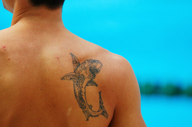 swimming' in Tattoos • Search in +1.3M Tattoos Now • Tattoodo
