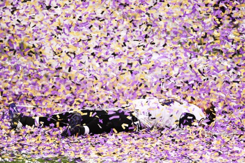 Morgan Cox of the Baltimore Ravens celebrates after the Ravens won 34-31 against the San Francisco 49ers during Super Bowl XLVII at the Mercedes-Benz Superdome in New Orleans, Feb. 3, 2013.